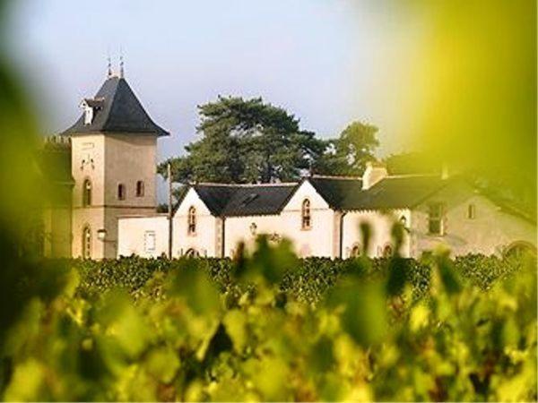 Domaine De La Soucherie - Chambres D'Hotes Beaulieu-sur-Layon ภายนอก รูปภาพ