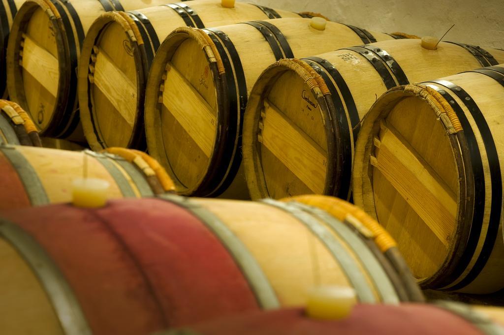 Domaine De La Soucherie - Chambres D'Hotes Beaulieu-sur-Layon ภายนอก รูปภาพ