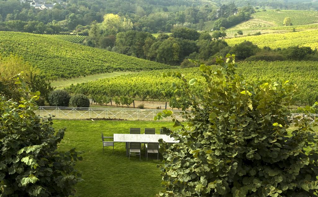 Domaine De La Soucherie - Chambres D'Hotes Beaulieu-sur-Layon ภายนอก รูปภาพ