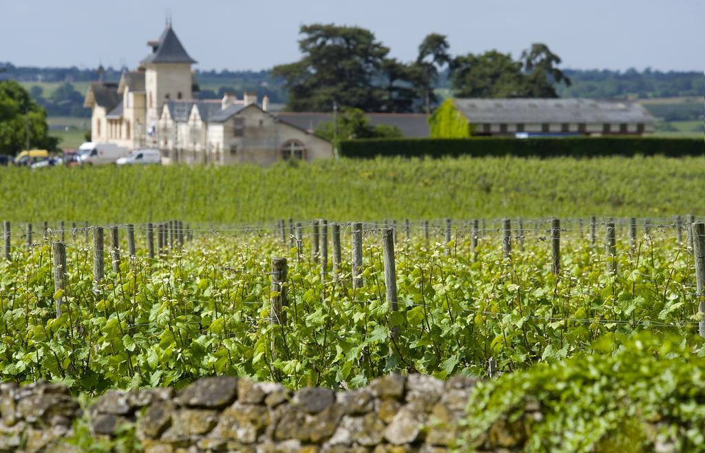 Domaine De La Soucherie - Chambres D'Hotes Beaulieu-sur-Layon ภายนอก รูปภาพ