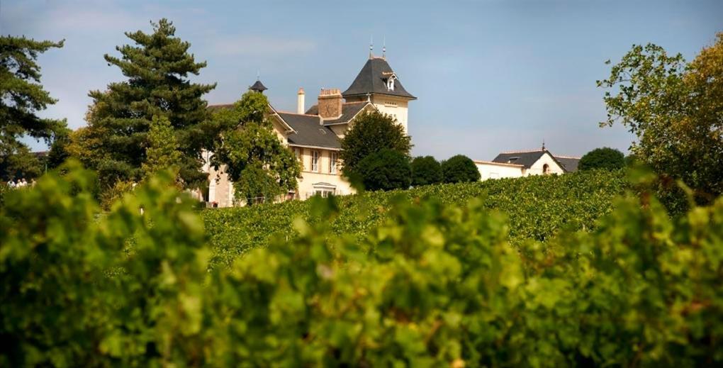 Domaine De La Soucherie - Chambres D'Hotes Beaulieu-sur-Layon ภายนอก รูปภาพ